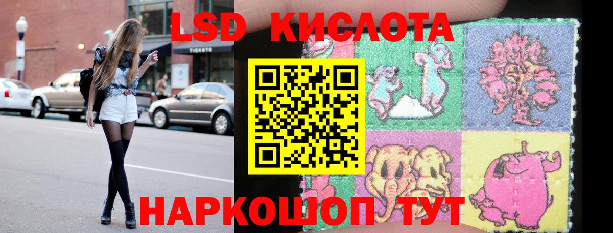 Бошки Шишки Пушкино